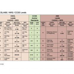 Casas reading practice test level c