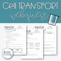 Cell membrane webquest answer key