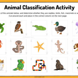 Intro to animals and classification review worksheet