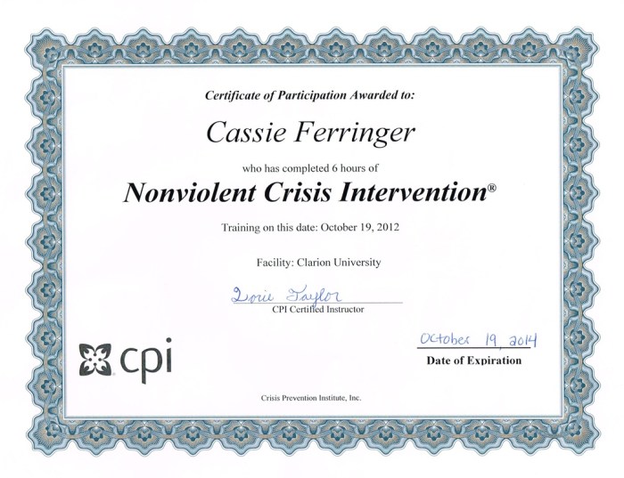 Cpi nonviolent crisis intervention training 2nd edition