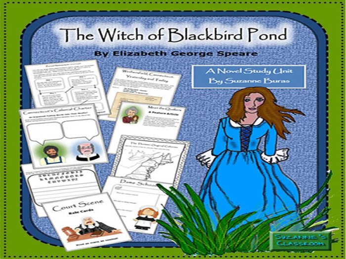 The witch of blackbird pond study guide answer key